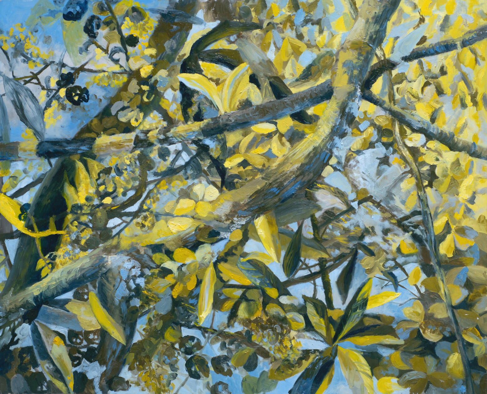 oil on panel, 24 x 29.5 in, 2019