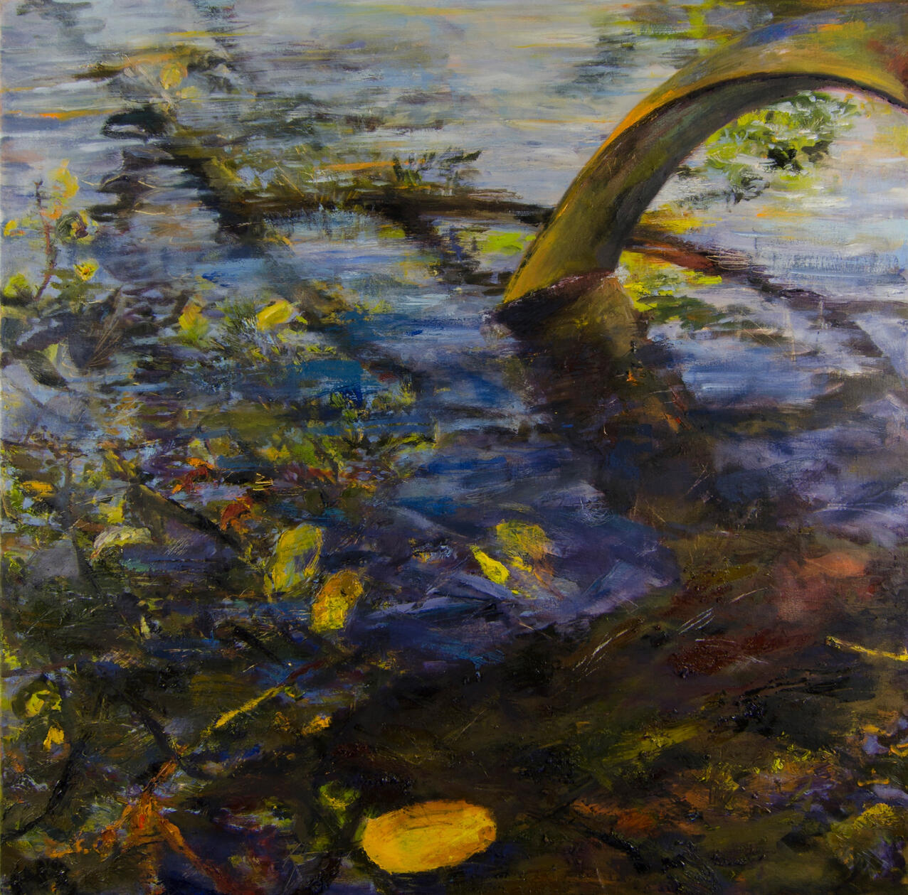 Pond, oil on canvas, 41x41in, 2019, Lily Stelzer