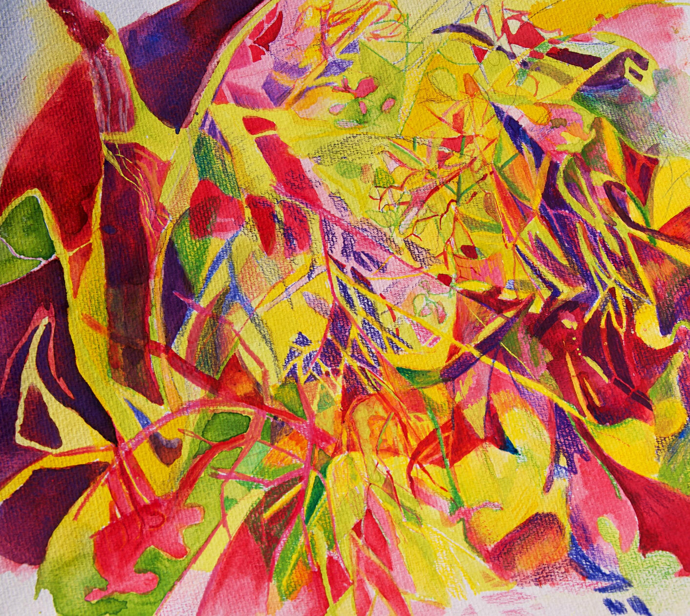 bolted fennel lily stelzer art