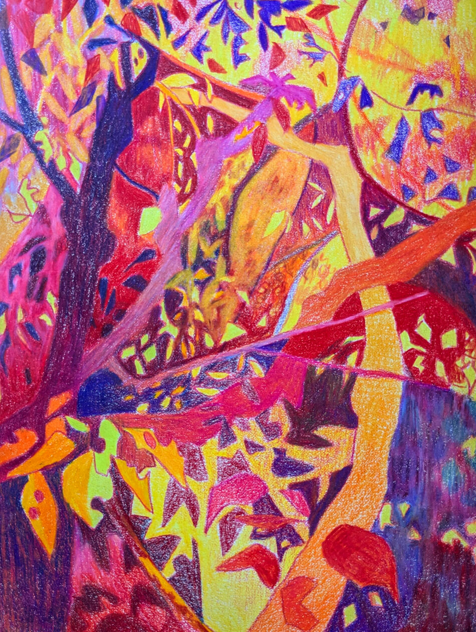 lily stelzer cherry tree drawing