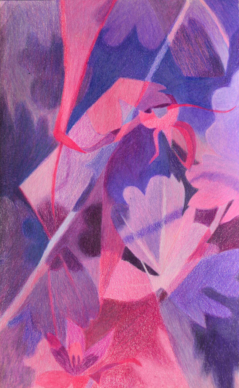 Purple colored pencil on paper, 2024