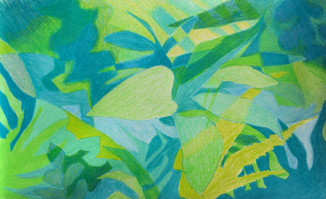 lily stelzer art drawing